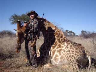 giraffe