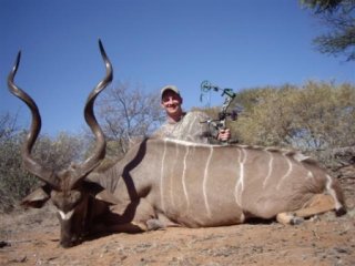 kudu