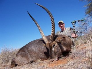 waterbuck