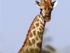 Kruger National Park