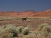 Sossusvlei Namibia