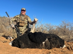 Anthony and Susan Ardizzone