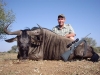 barry_blue_wildebeest