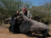 chuck_blue_wildebeest