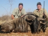 dan_blue_wildebeest