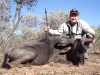 duke_blue_wildesbeest