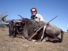 audrie_blue_wildebeest