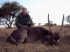 normal_gernot_waterbuck