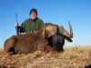 horst_black_wildebeest