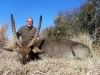 horst_waterbuck