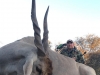 Eland (2)