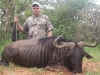 jim_bluewildebeest