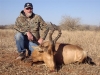 john_redhartebeest
