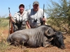 louis_blue_wildebeest