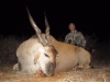 Eland 1