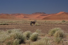 Sossusvlei Namibia