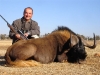 thomas_black_wildebeest