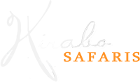 Kirabo Safaris